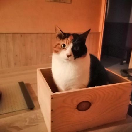 Grande Chambre D'Hote Proche Disneyland Et Parc Des Felins Guérard Eksteriør billede